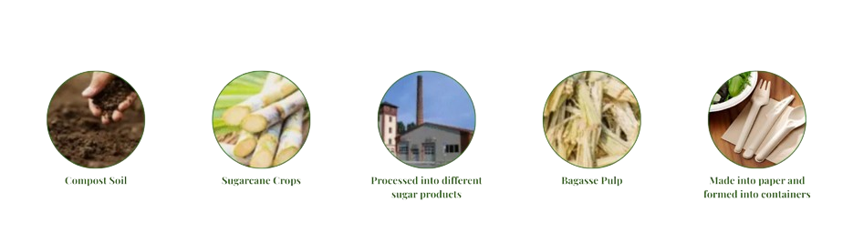 4-1-1536x439-2-removebg-preview